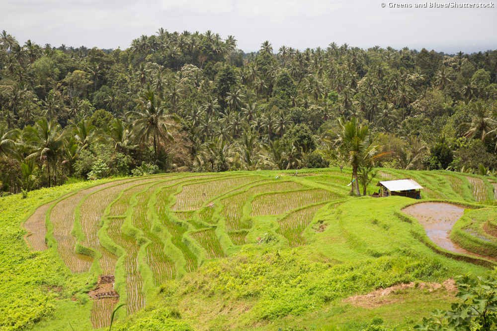 Bali für drei Wochen: Tempel, Reislandschaften und Strand entspannt verbinden